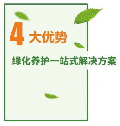 綠化保養 綠化保養