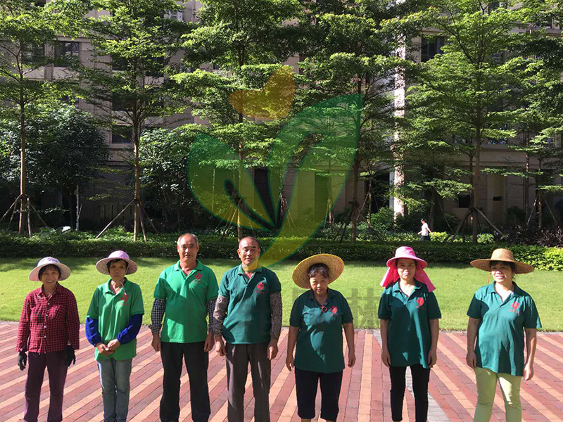 怡軒園林綠化養(yǎng)護(hù) 怡軒園林綠化養(yǎng)護(hù)