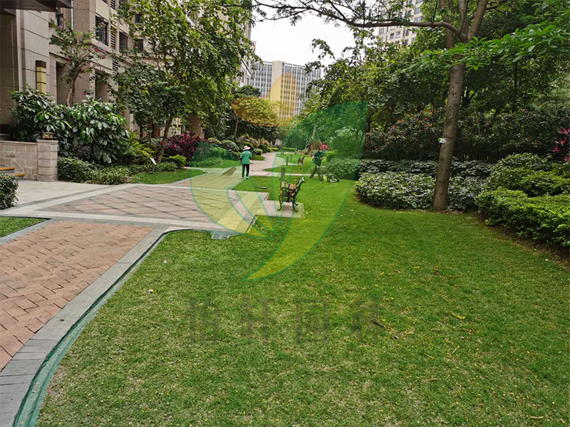 怡軒園林綠化養(yǎng)護(hù) 怡軒園林綠化養(yǎng)護(hù)