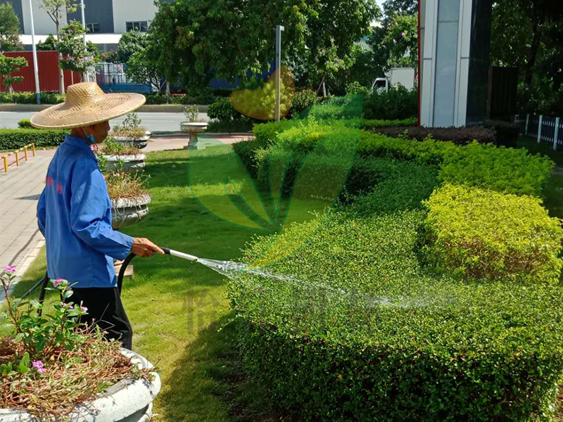 怡軒園林綠化養護