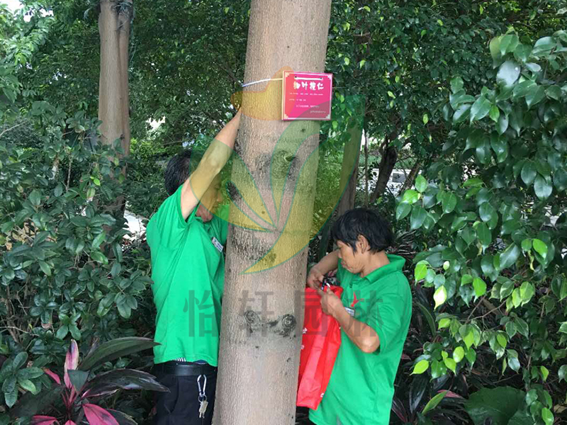 怡軒園林綠化養(yǎng)護 怡軒園林綠化養(yǎng)護