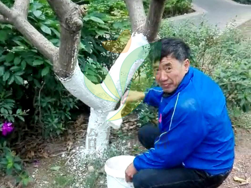 怡軒園林綠化養(yǎng)護 怡軒園林綠化養(yǎng)護