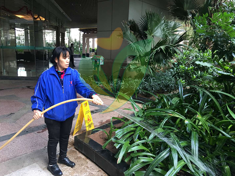 怡軒園林綠化養(yǎng)護 怡軒園林綠化養(yǎng)護