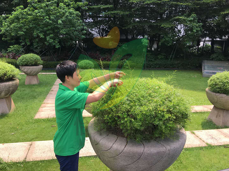 怡軒園林綠化養(yǎng)護 怡軒園林綠化養(yǎng)護