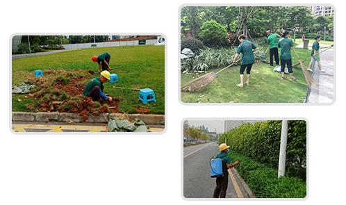 綠化養護 綠化養護
