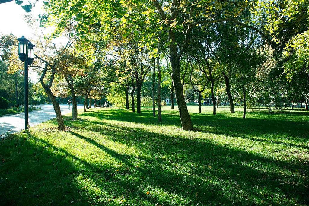 綠化養(yǎng)護(hù) 綠化養(yǎng)護(hù)