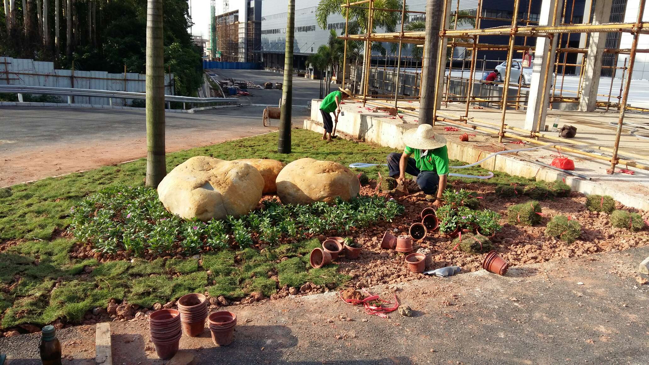 園林綠化 園林綠化