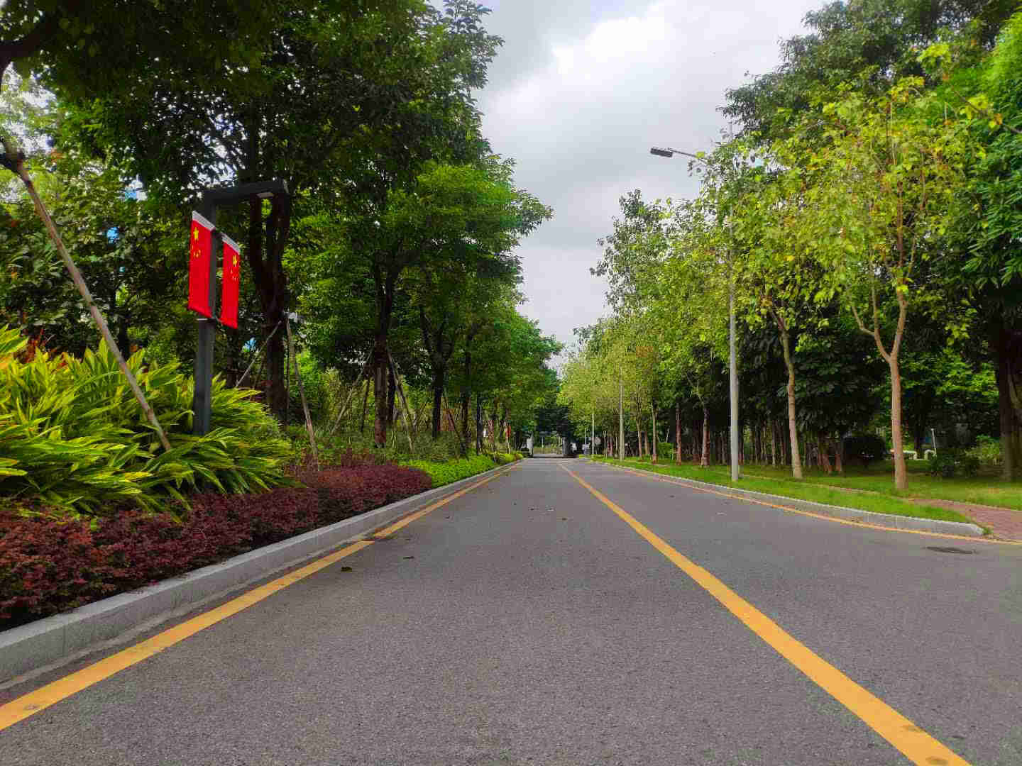 綠化養護 綠化養護