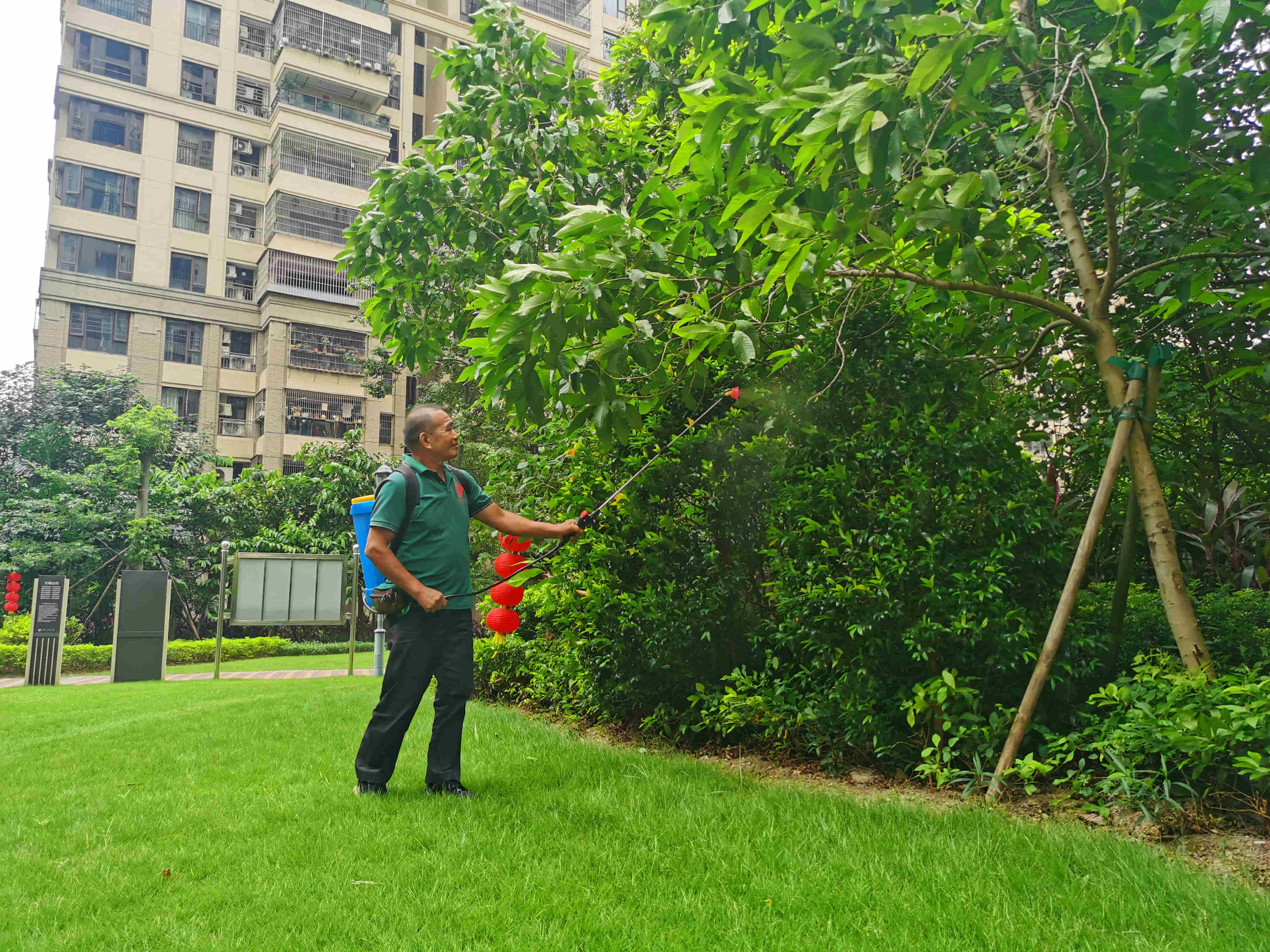小區(qū)綠化養(yǎng)護 小區(qū)綠化養(yǎng)護