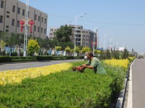 綠化維護 綠化維護