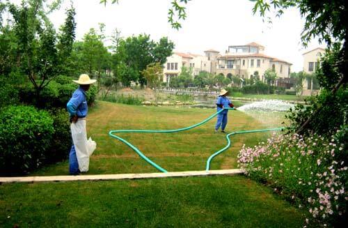 綠化養護 綠化養護