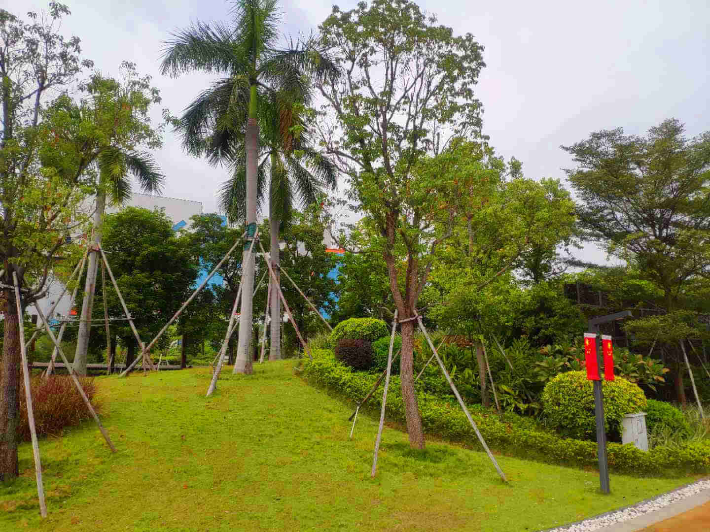 綠化維護(hù) 綠化維護(hù)