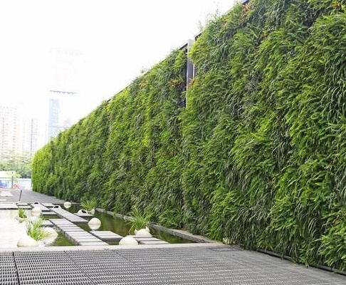 佛山綠化養護 植物墻 佛山綠化養護 植物墻