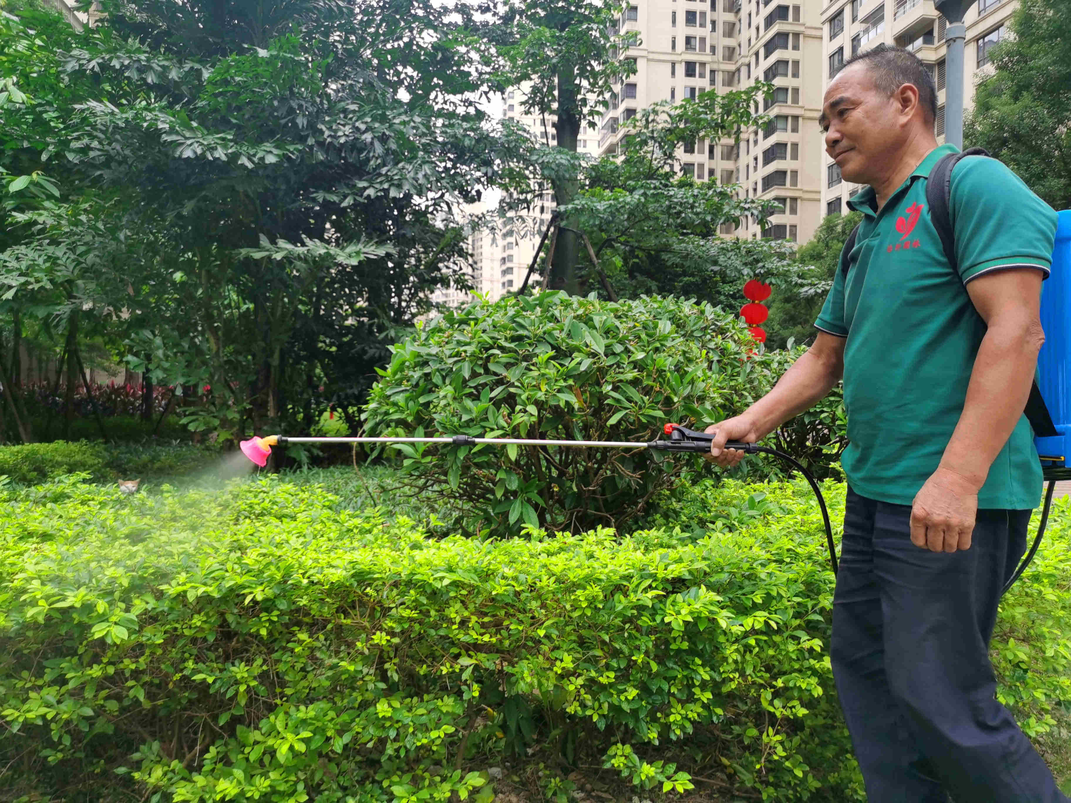 園林綠化養護 園林綠化養護