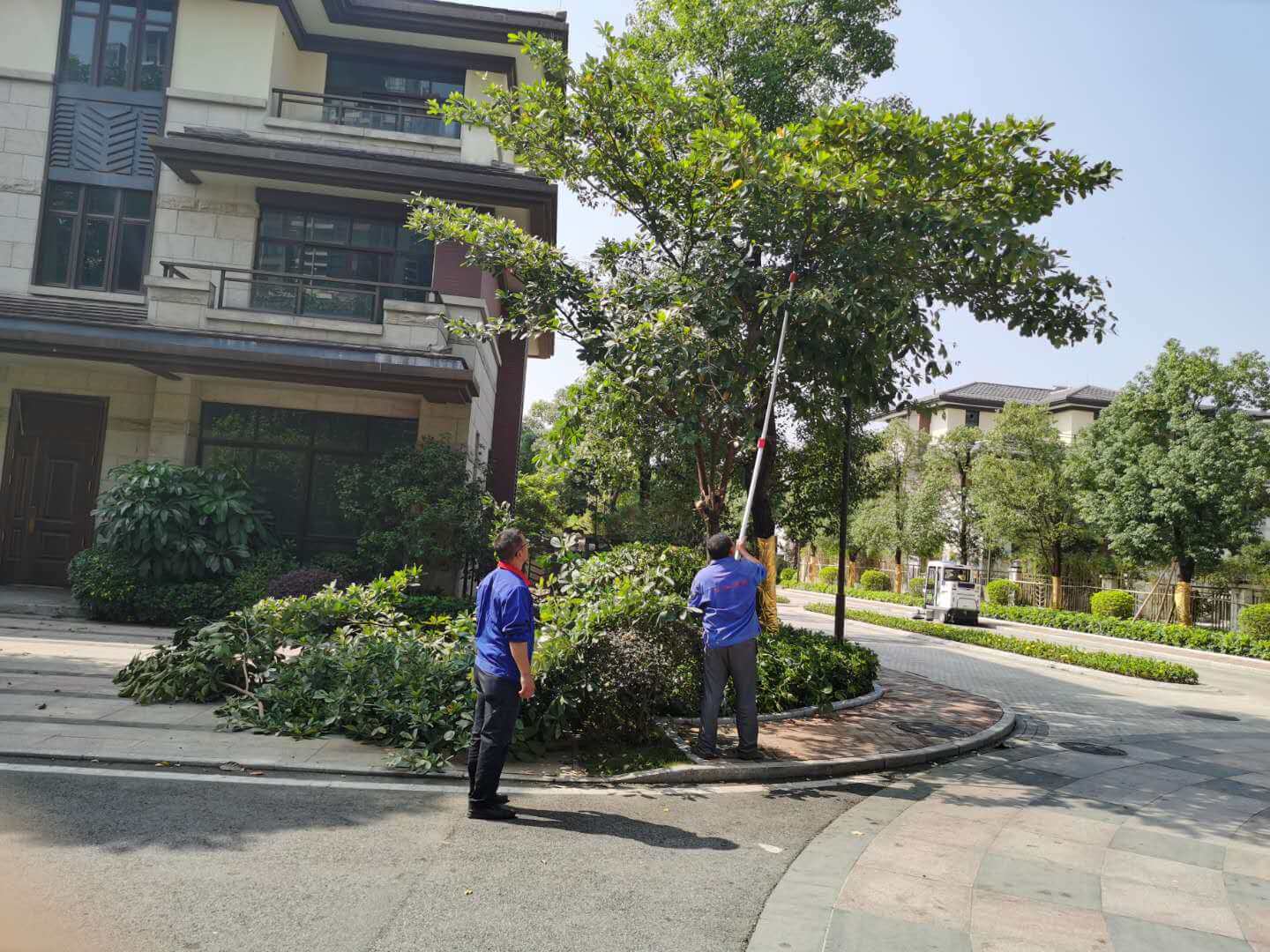 小區綠化養護 小區綠化養護