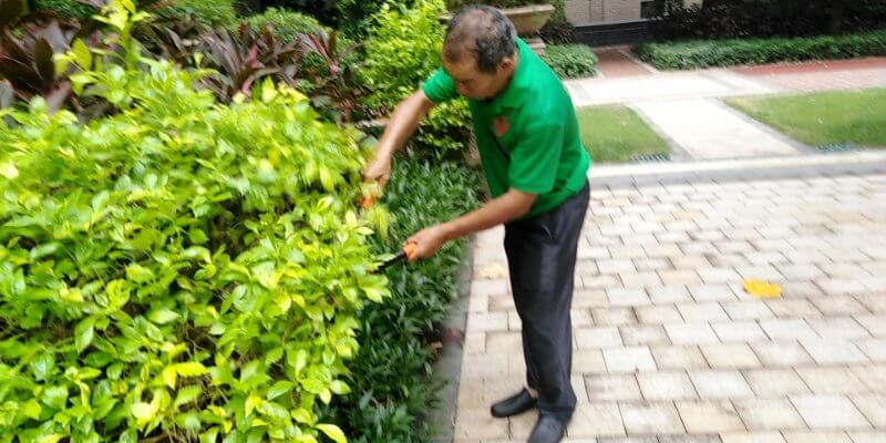 小區綠化養護