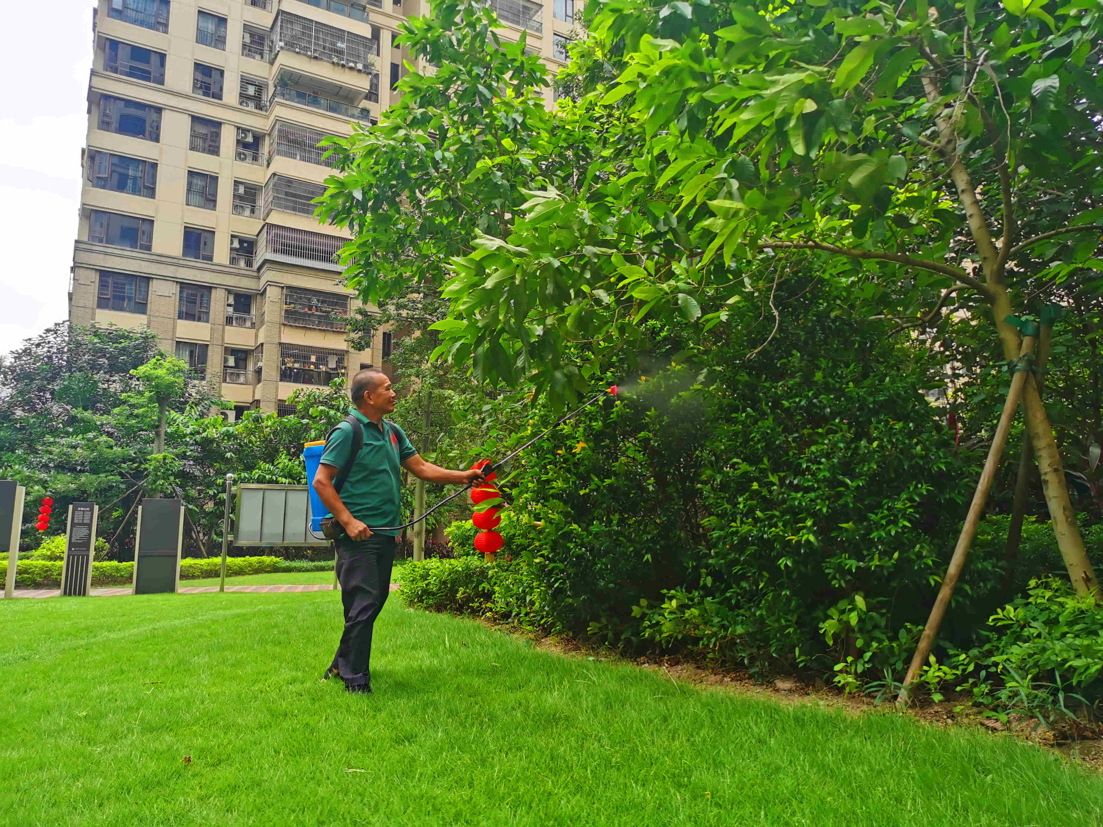 小區(qū)綠化養(yǎng)護(hù)