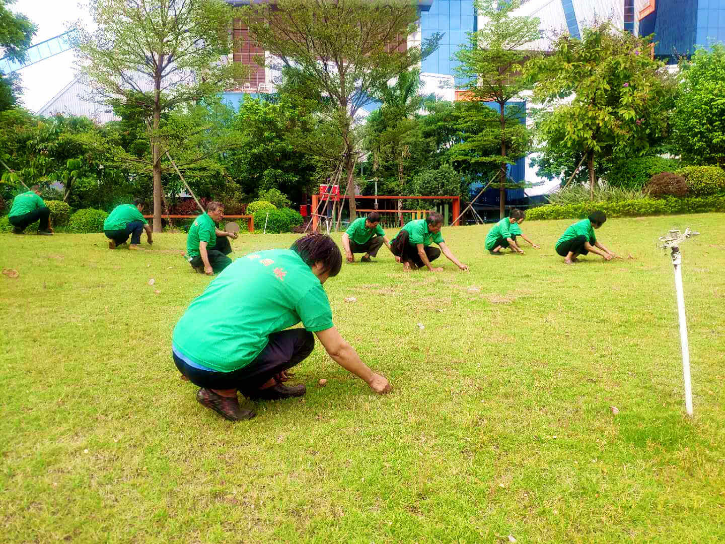 小區(qū)綠化養(yǎng)護(hù)