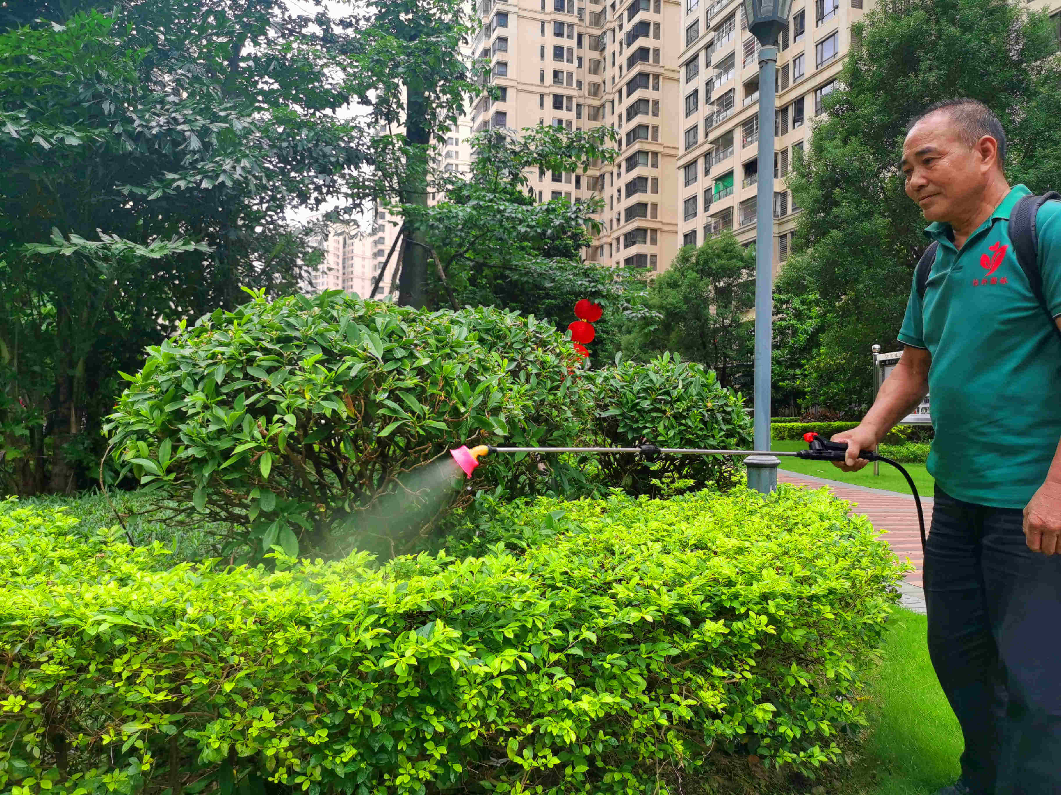 小區(qū)綠化養(yǎng)護(hù)