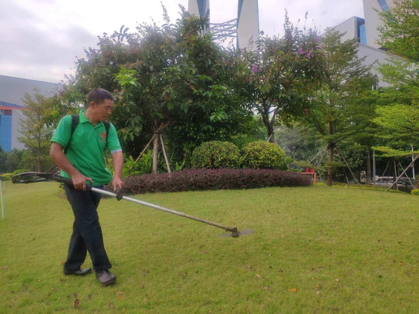 小區(qū)綠化養(yǎng)護 小區(qū)綠化養(yǎng)護