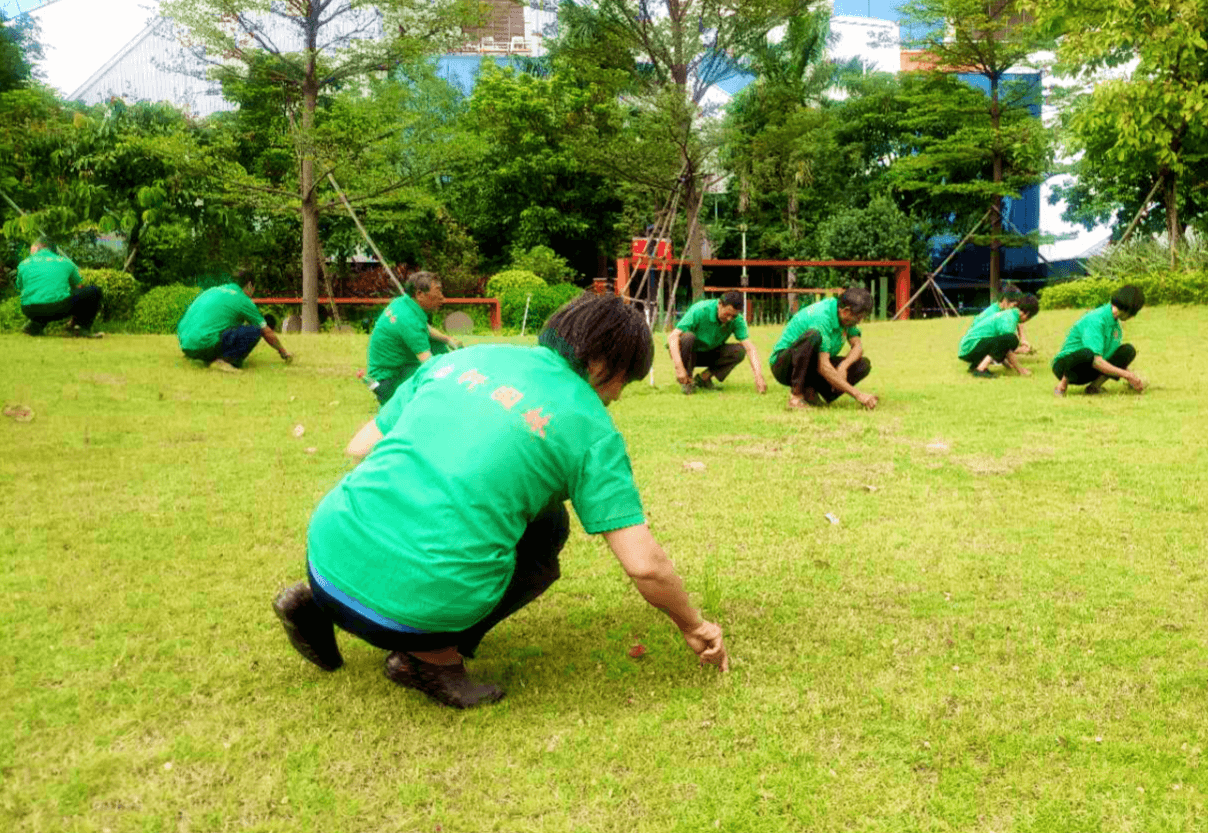 小區(qū)綠化養(yǎng)護(hù) 小區(qū)綠化養(yǎng)護(hù)