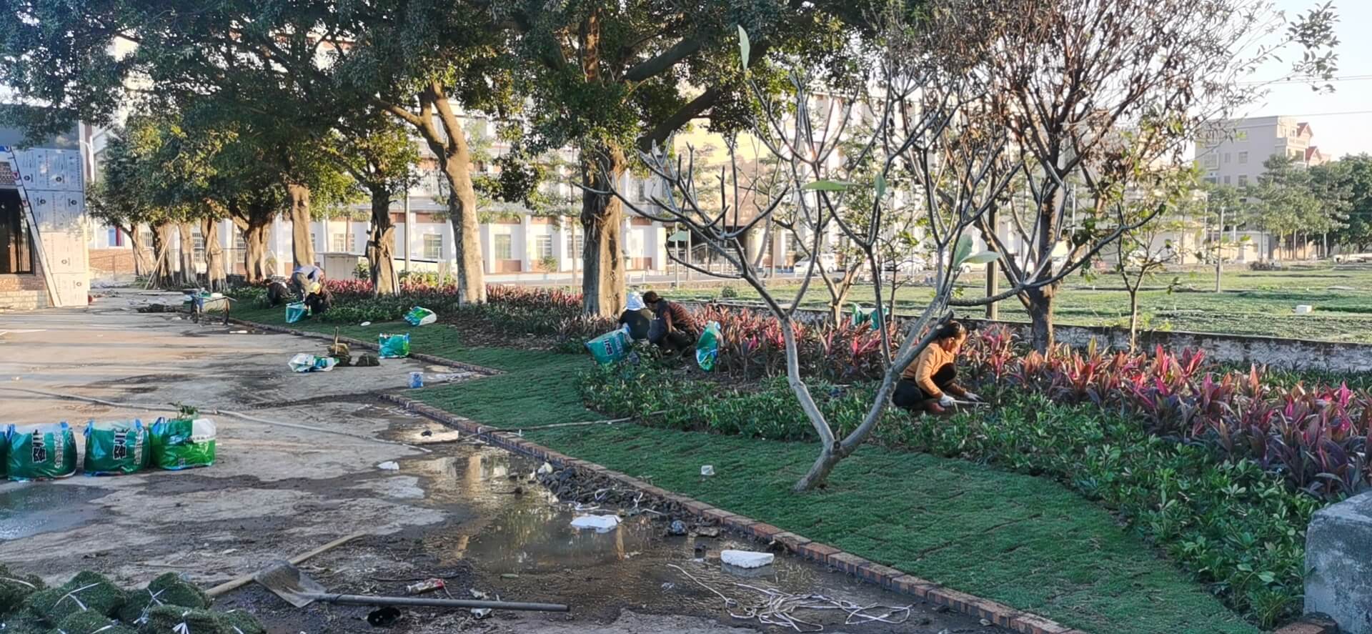 科學(xué)園園林綠化工程 科學(xué)園園林綠化工程