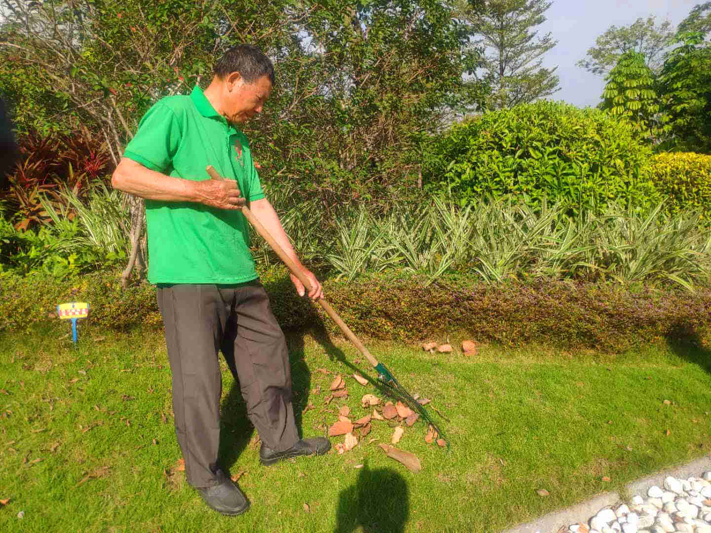 小區(qū)綠化養(yǎng)護(hù)枯葉清理