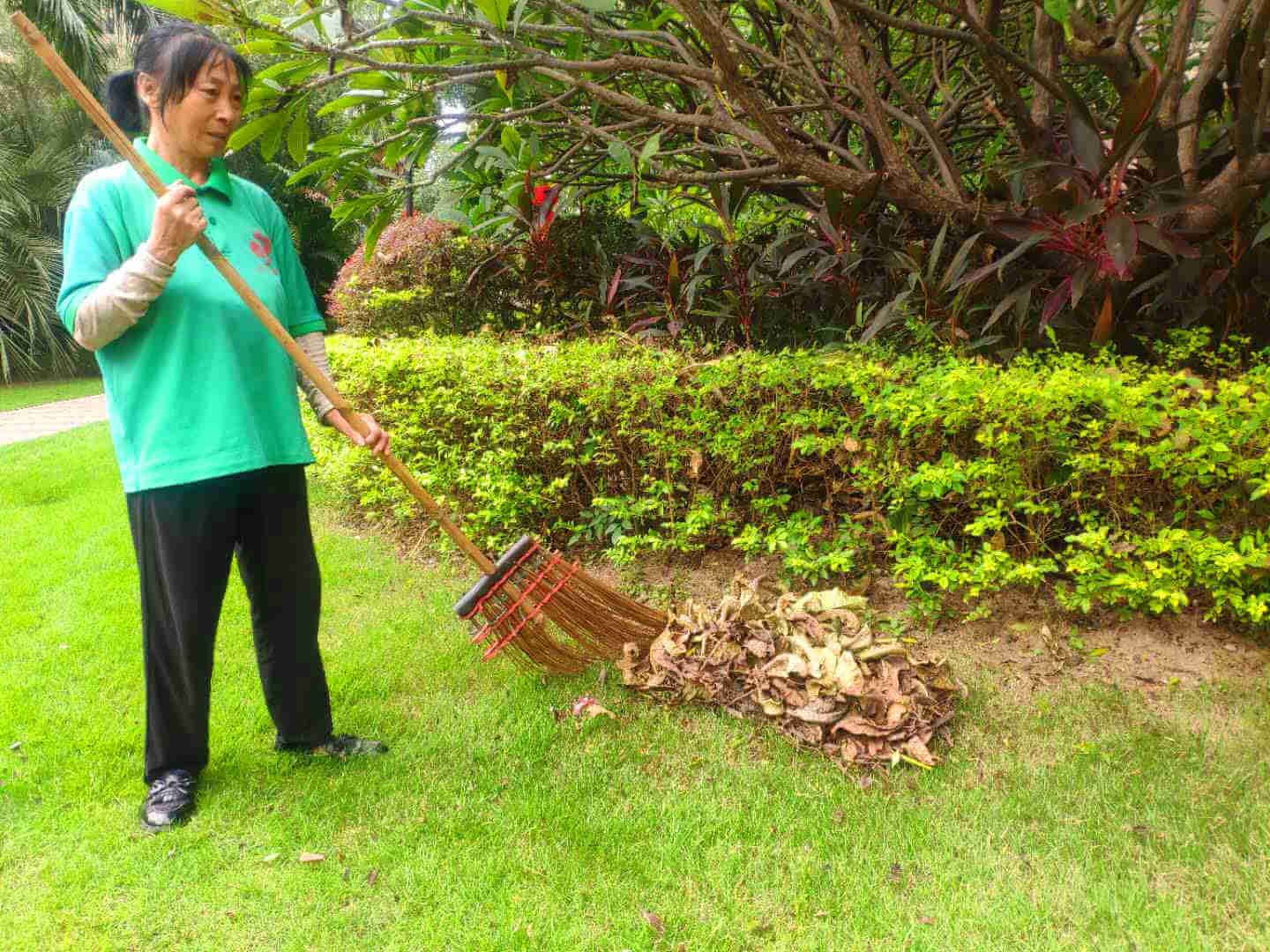 小區(qū)綠化養(yǎng)護(hù) 小區(qū)綠化養(yǎng)護(hù)