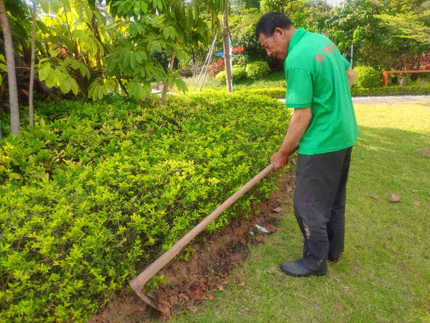 小區綠化養護