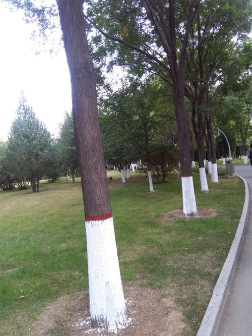 小區(qū)綠化養(yǎng)護(hù)