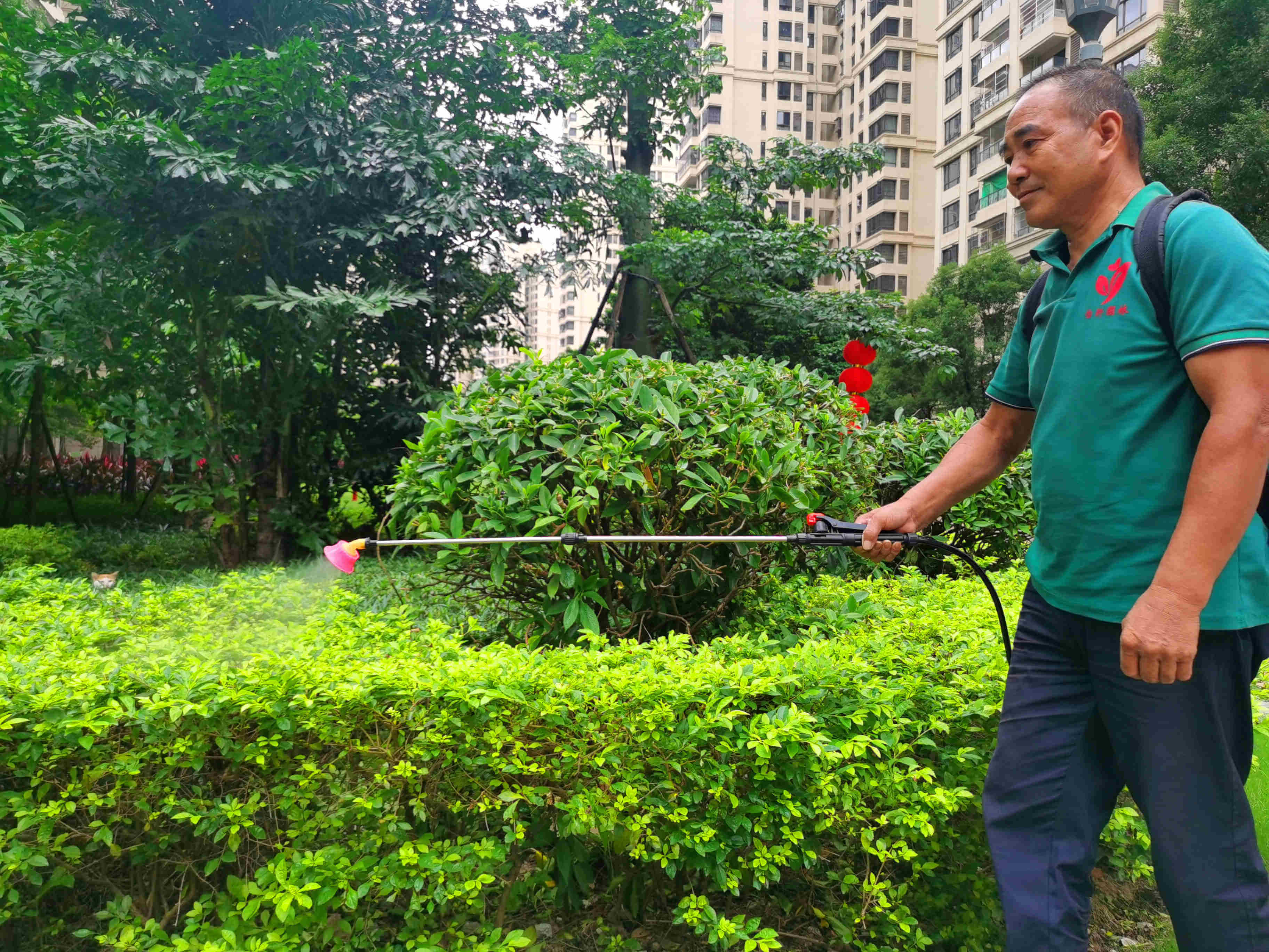小區綠化養護