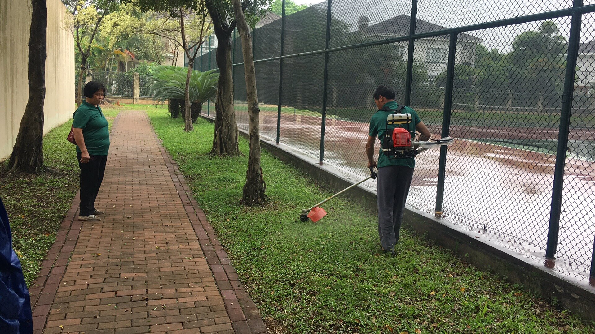 小區(qū)綠化苗木的養(yǎng)護