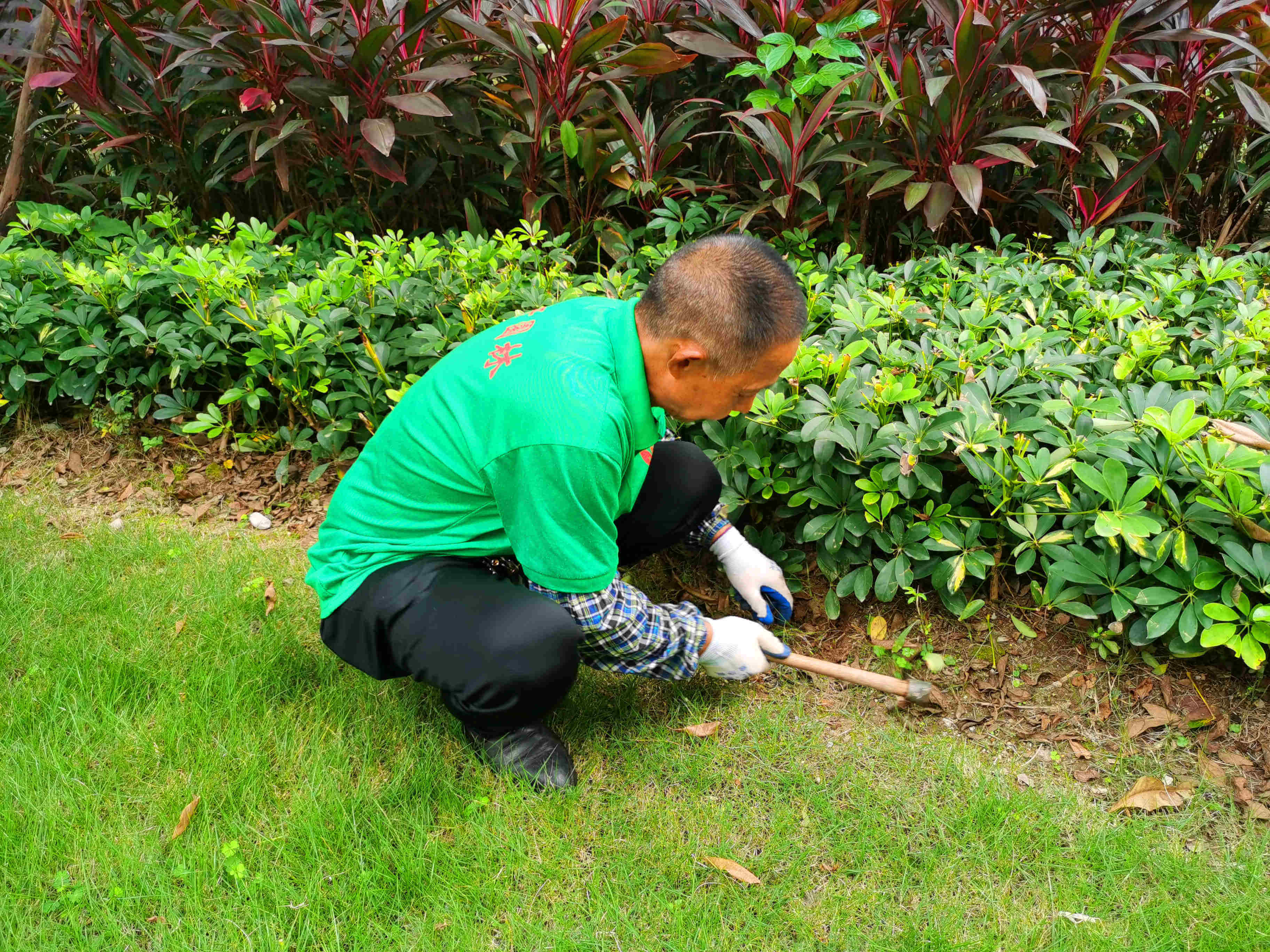 小區綠化養護中耕除草