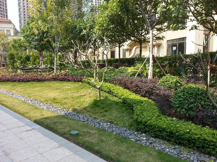 綠化苗木防寒保溫工作