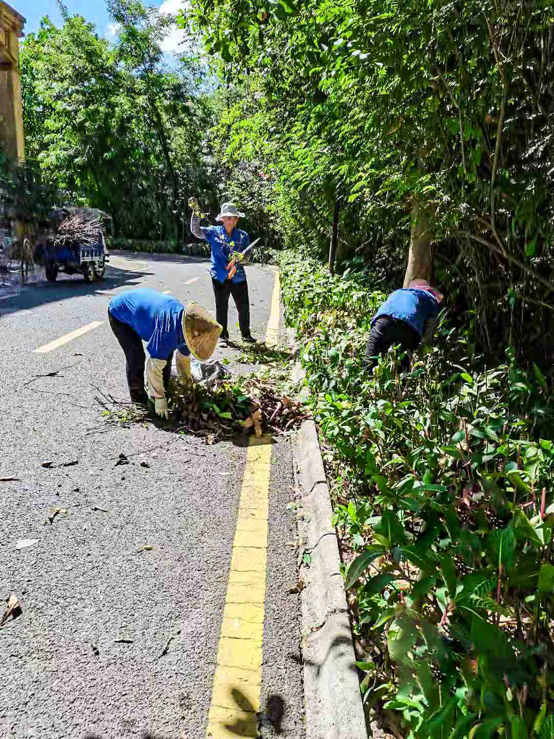 小區(qū)綠化養(yǎng)護(hù)