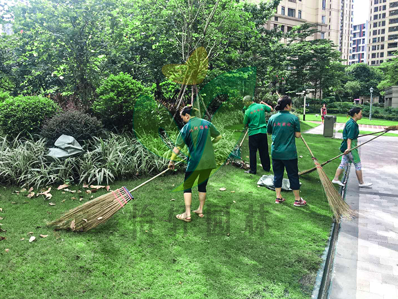 小區(qū)綠化養(yǎng)護(hù)