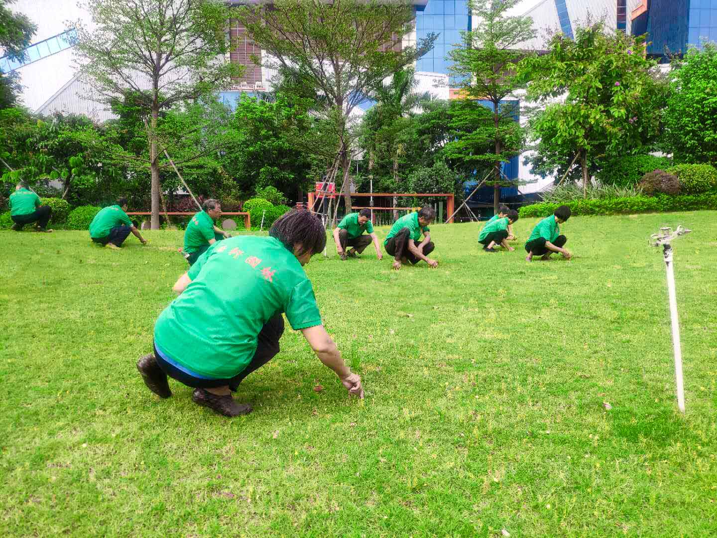 綠化養(yǎng)護(hù)