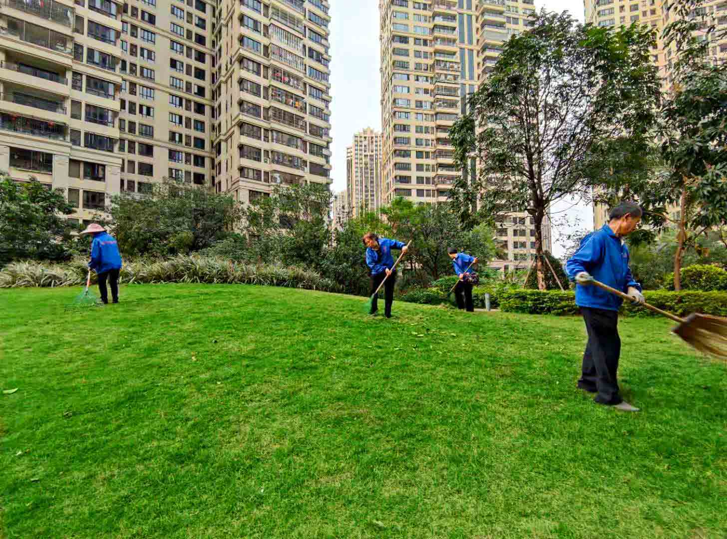 廣州園林綠化養(yǎng)護,廣州園林綠化養(yǎng)護公司,園林綠化養(yǎng)護 廣州園林綠化養(yǎng)護,廣州園林綠化養(yǎng)護公司,園林綠化養(yǎng)護