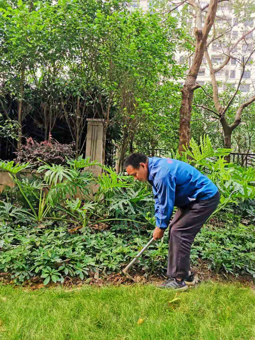 小區(qū)綠化養(yǎng)護(hù)