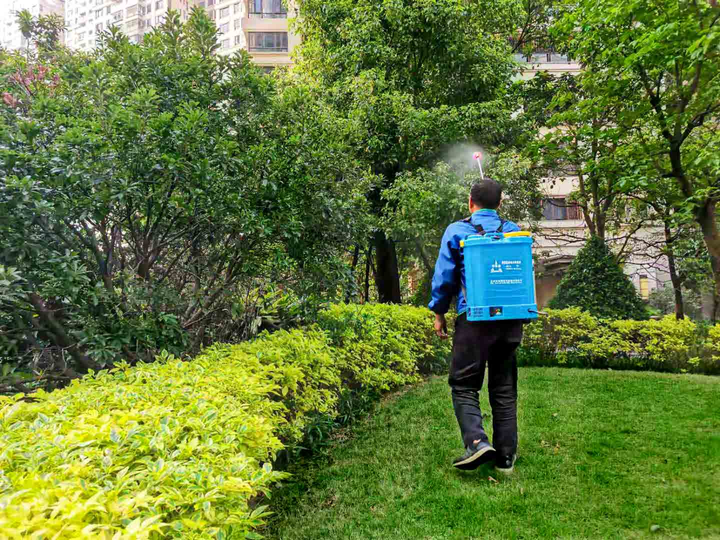 佛山園林綠化養(yǎng)護(hù)公司