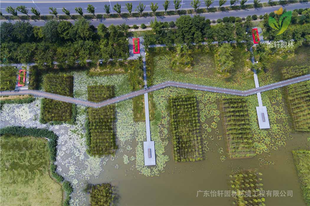 綠化工程 綠化工程