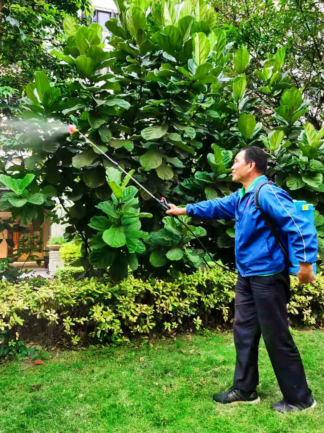 藥劑噴灑,園林綠化 藥劑噴灑,園林綠化