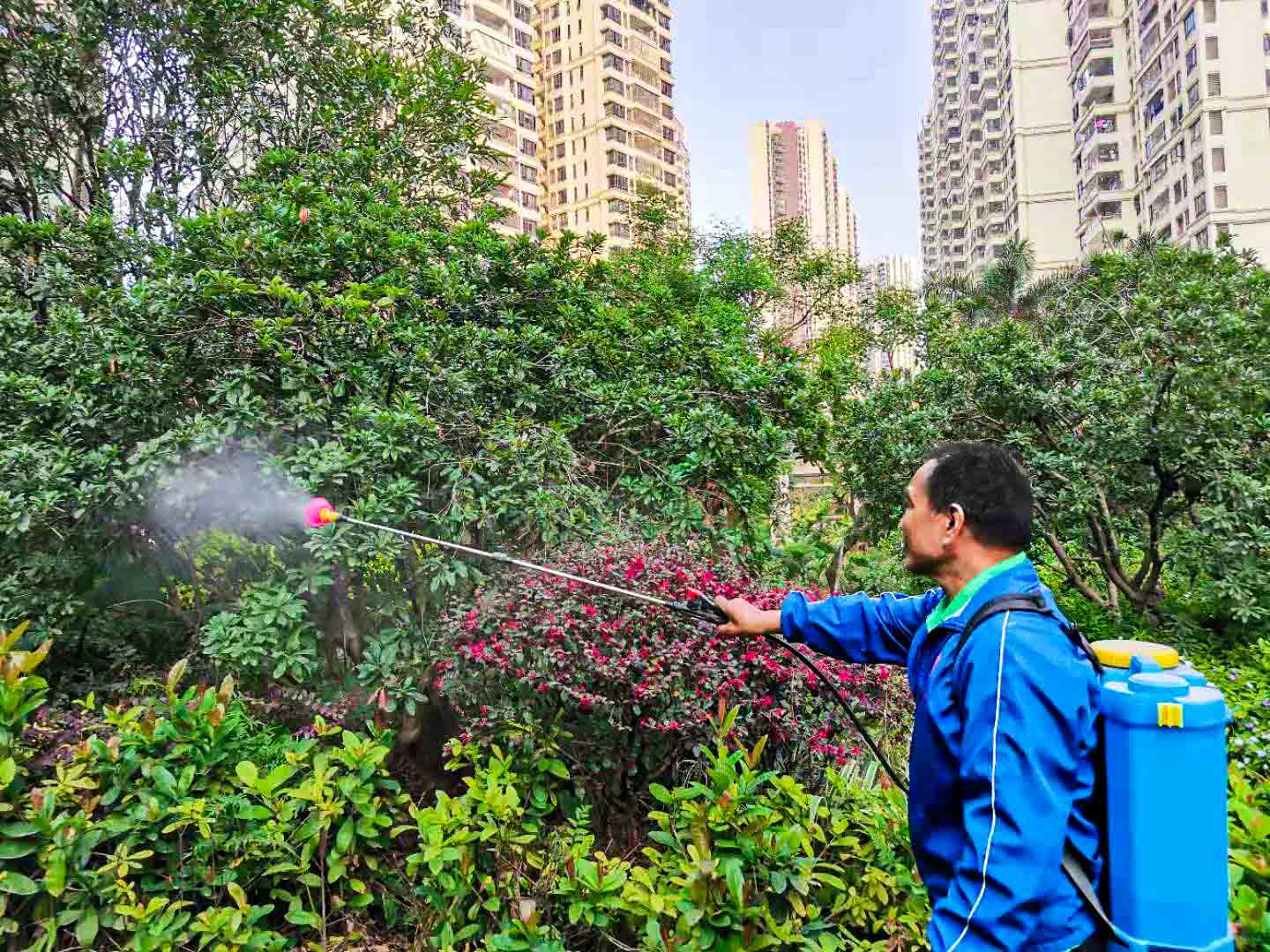 園林綠化養(yǎng)護,除草劑