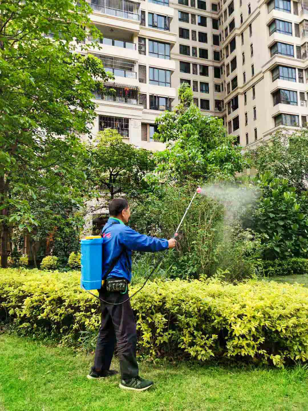 綠化養(yǎng)護(hù)