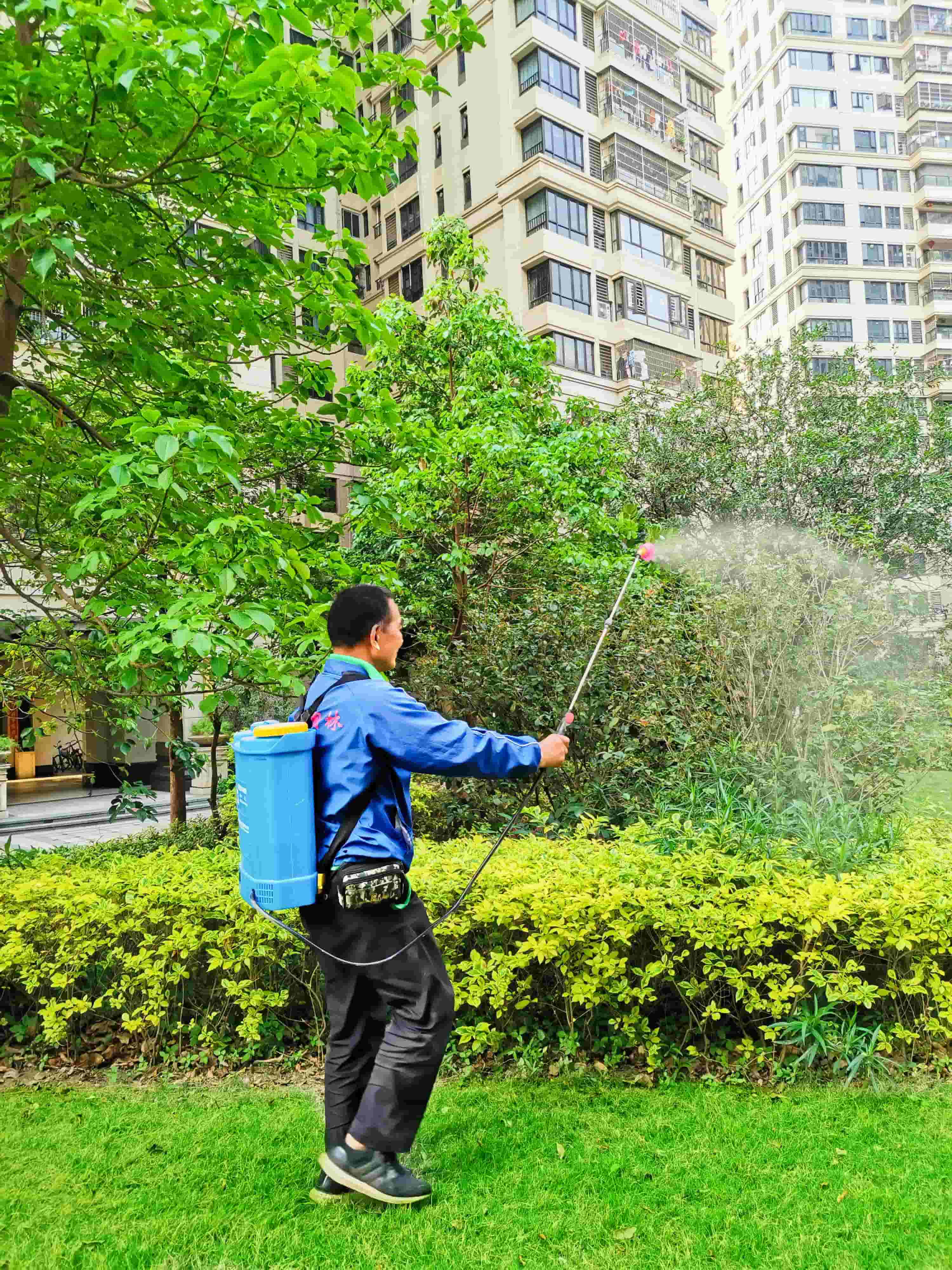 園林綠化公司 園林綠化公司