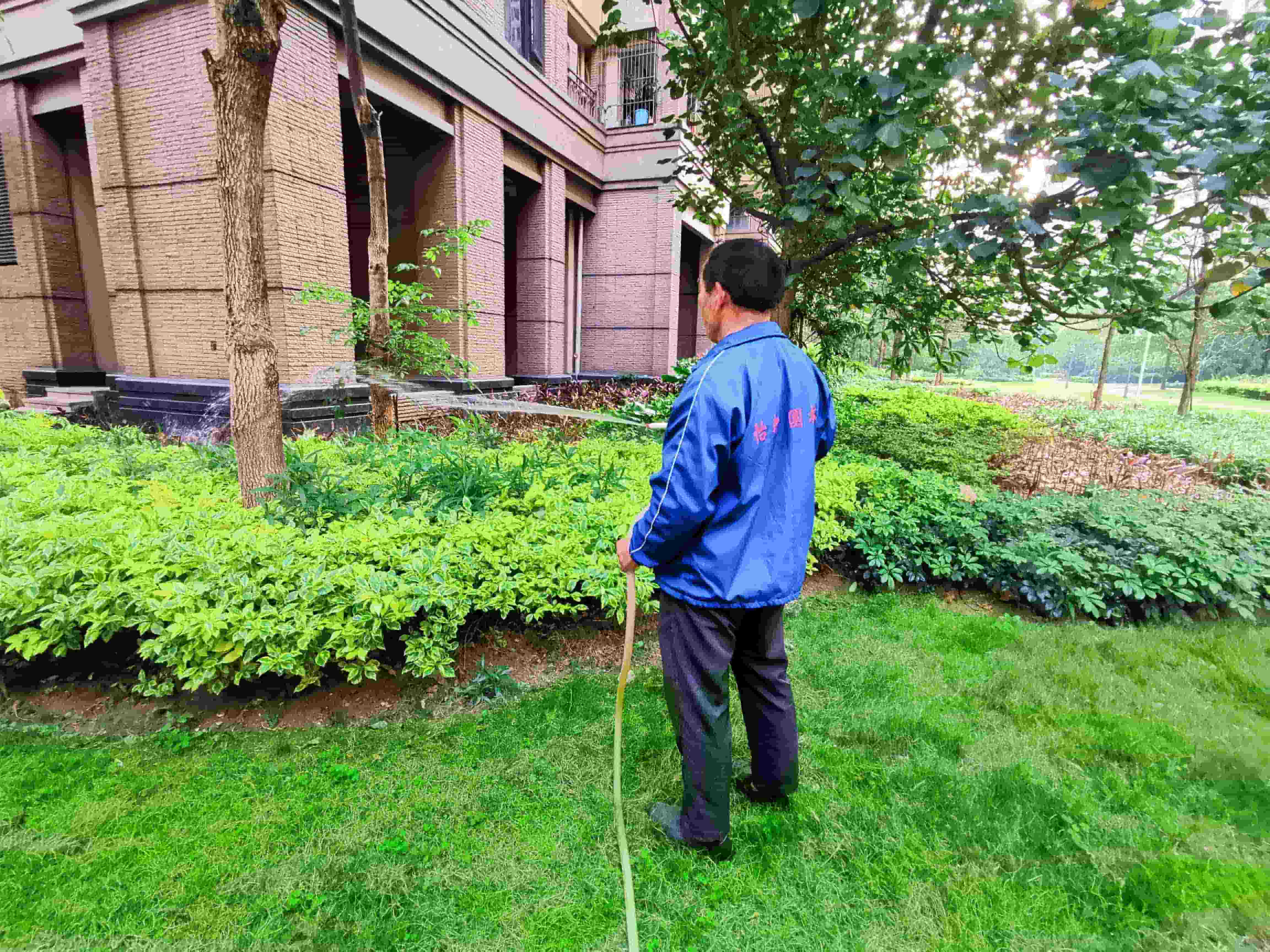 綠化養護 綠化養護