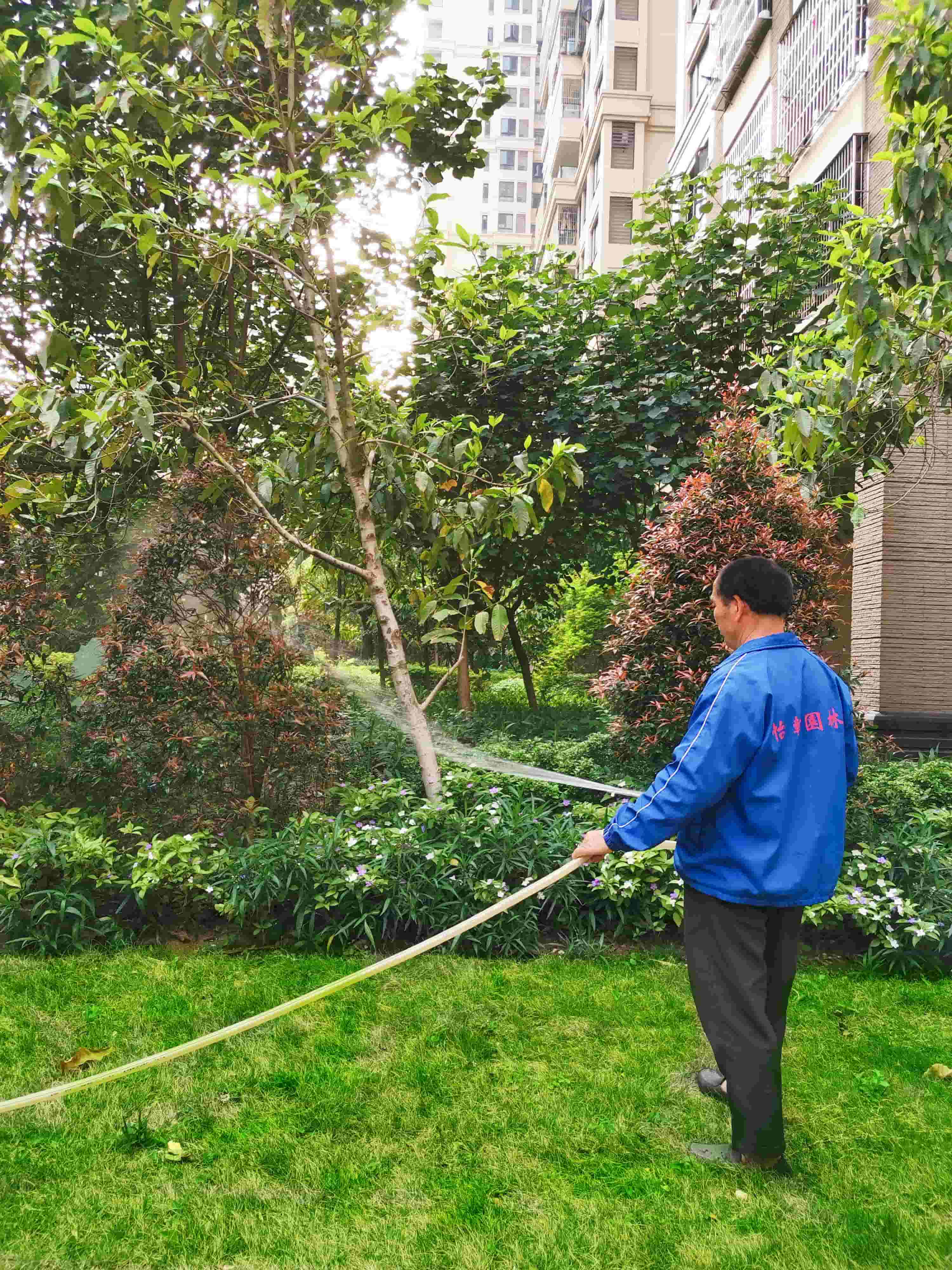 廣州園林綠化公司 廣州園林綠化公司