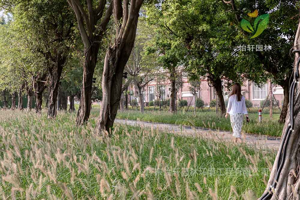 景觀設計 景觀設計