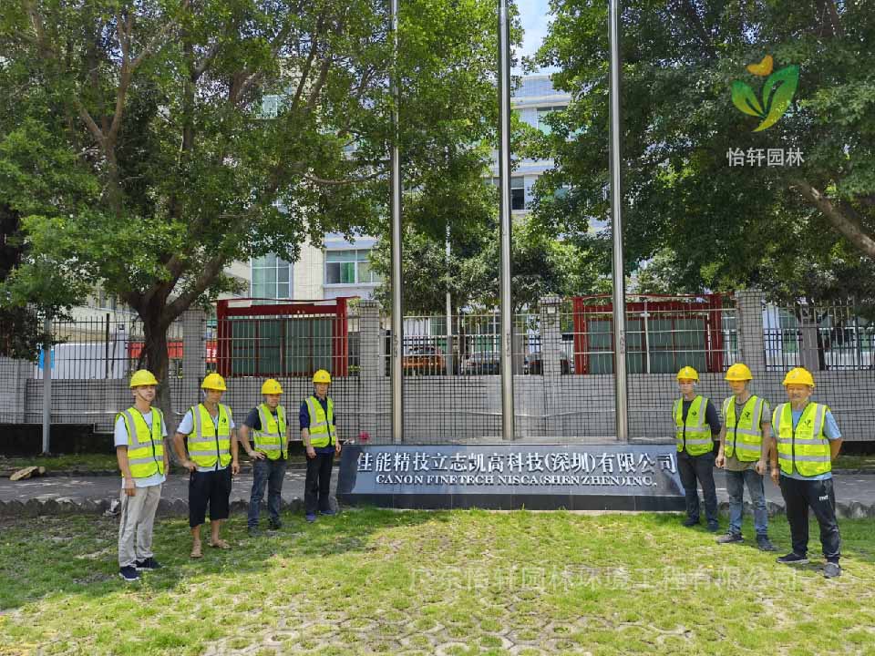 綠化工程，園林綠化公司