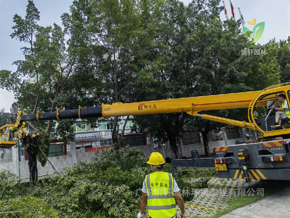 綠化工程，園林綠化公司